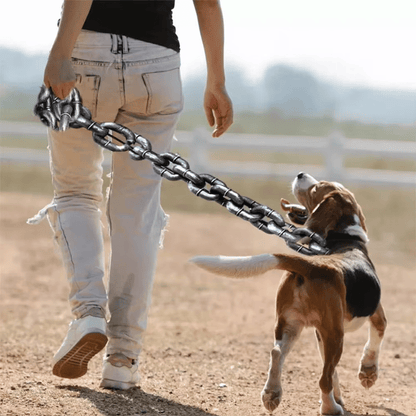 🐾 Funny Dog Leash - Life-Like Iron Chain Design for Large, Medium, and Small Pets 🐕✨