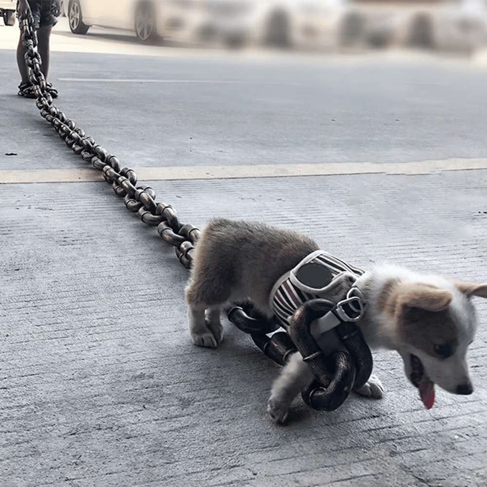 🐾 Funny Dog Leash - Life-Like Iron Chain Design for Large, Medium, and Small Pets 🐕✨
