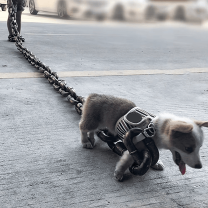 🐾 Funny Dog Leash - Life-Like Iron Chain Design for Large, Medium, and Small Pets 🐕✨