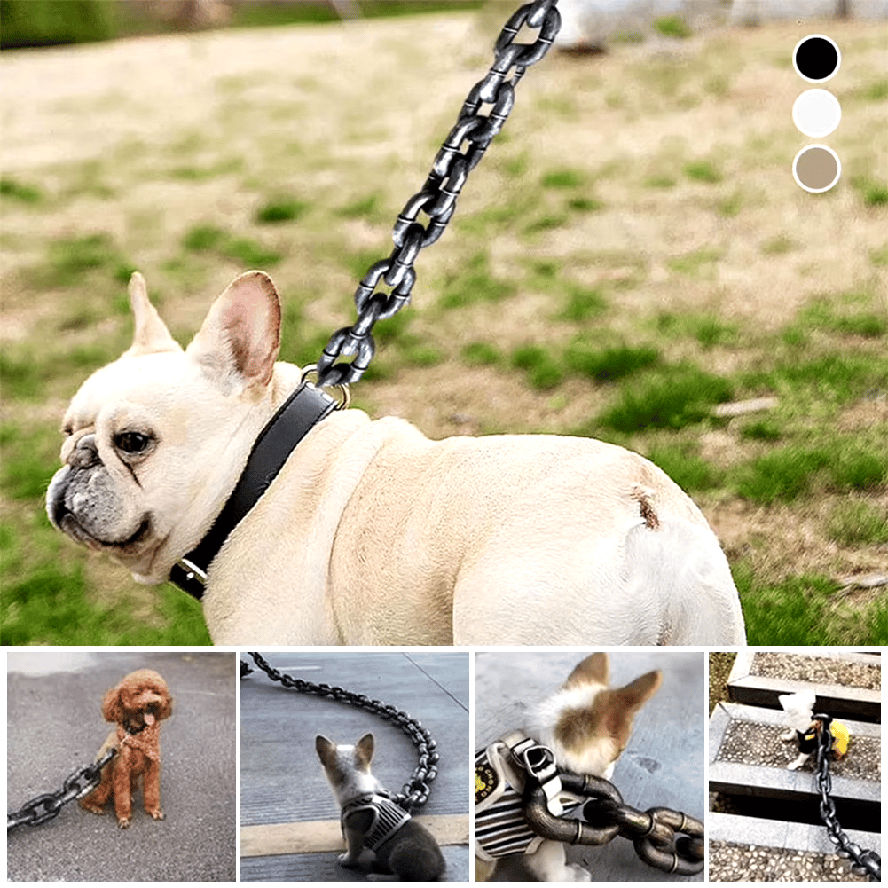 🐾 Funny Dog Leash - Life-Like Iron Chain Design for Large, Medium, and Small Pets 🐕✨