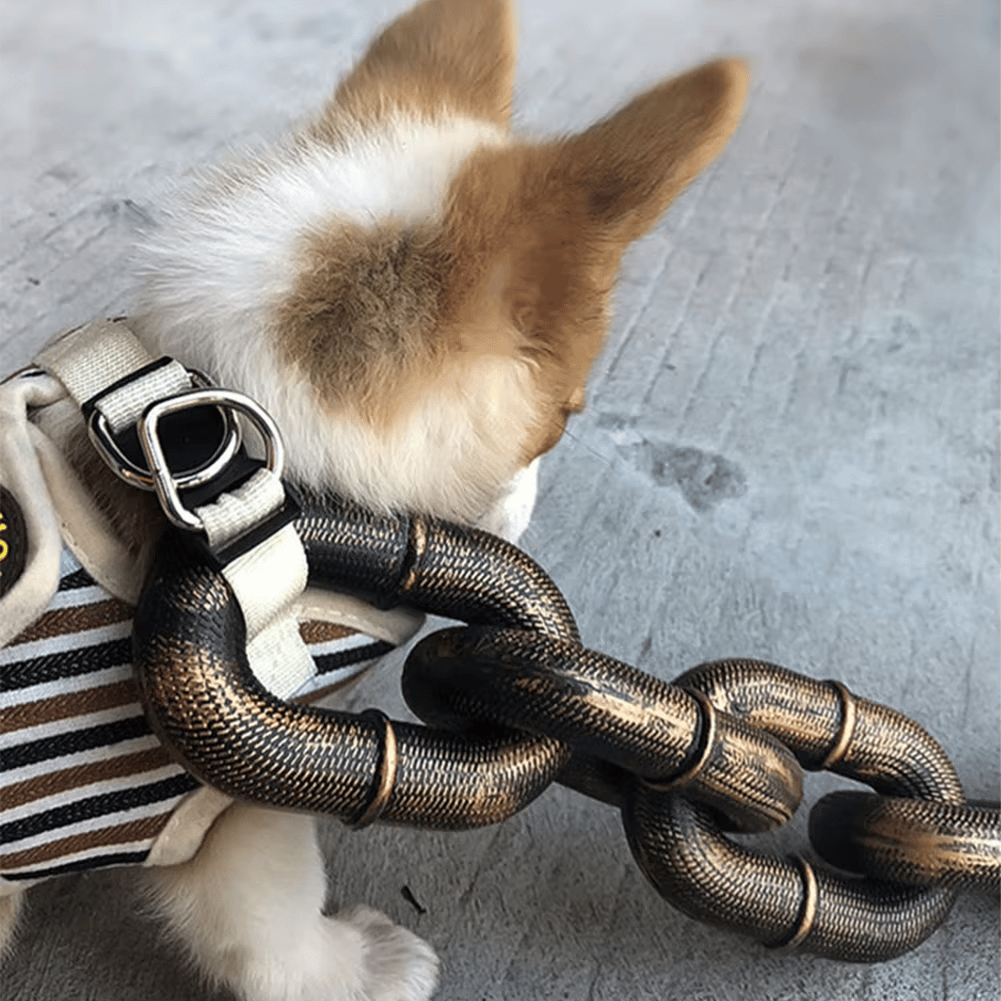 🐾 Funny Dog Leash - Life-Like Iron Chain Design for Large, Medium, and Small Pets 🐕✨